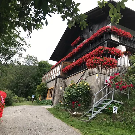 Alpenblick Bed & Breakfast-2